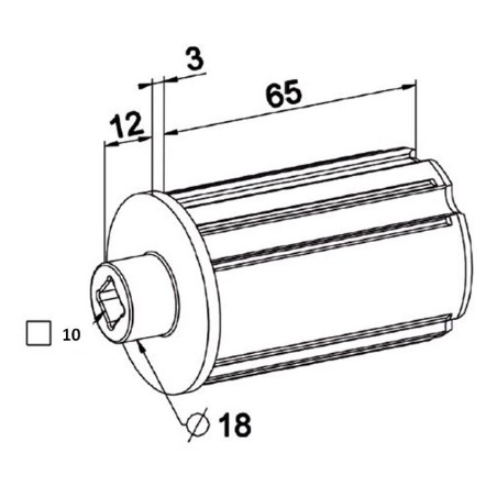 Embout  ZF 45 Carre de 10mm-Palier D 18 mm
