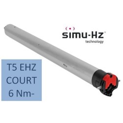 T5 RADIO 6 Nm-COURT 2006744Moteur Radio EHZSIMU