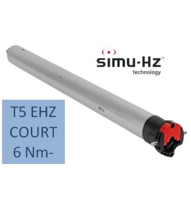 T5 RADIO 6 Nm-COURT 2006744Moteur Radio EHZSIMU