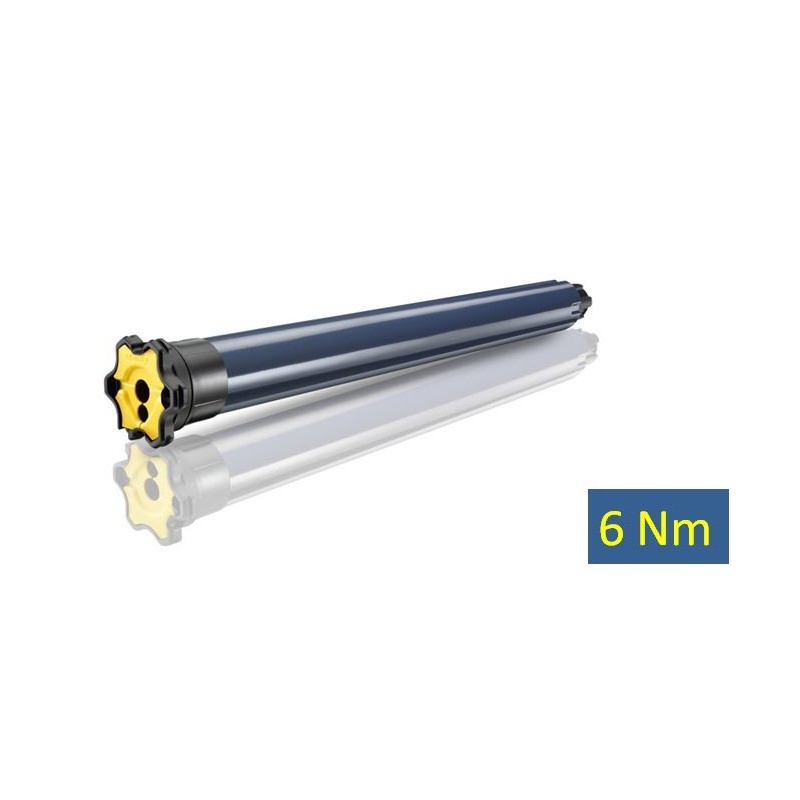 LT 50- RS100 IO 6/17 1033114Moteur IOSomfy