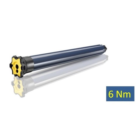 LT 50- RS100 IO 6/17 1033114Moteur IOSomfy