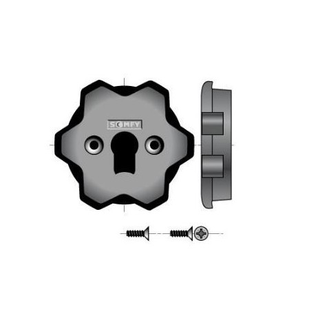 Interface Tete Moteur LS40-LT50