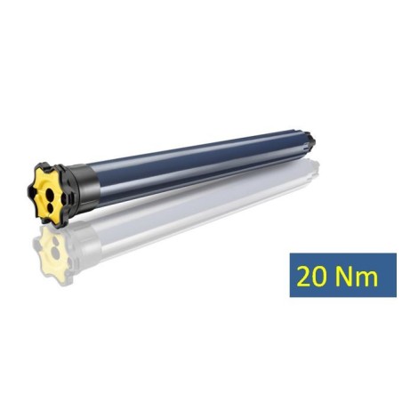 LT 50- RS100 IO 20/17 1033117Moteur IOSomfy