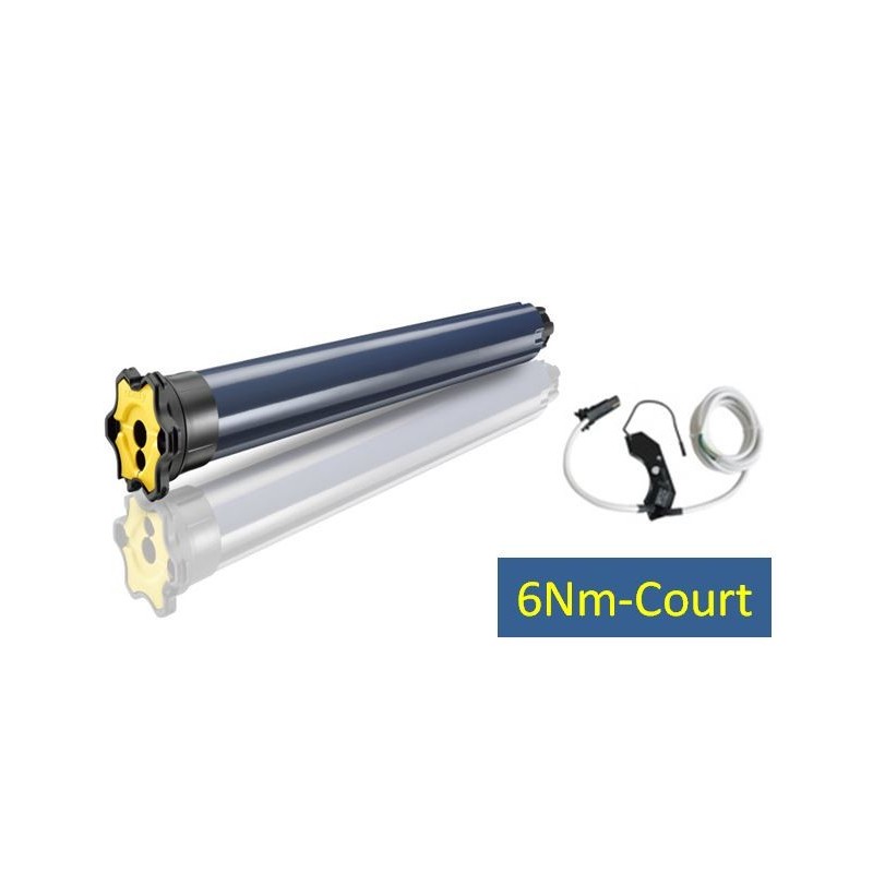 LT 50- RS100 IO 6/17-COURT 1130334Moteur IOSomfy