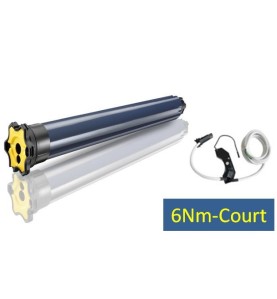 LT 50- RS100 IO 6/17-COURT 1130334Moteur IOSomfy