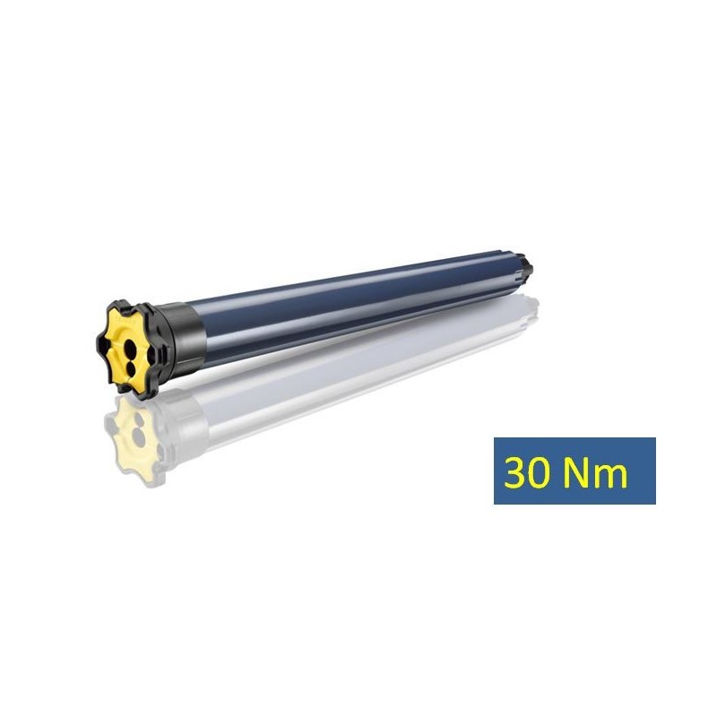 LT 50- OXIMO IO 30/17 1045517Moteur IOSomfy