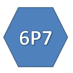 Tige 6 Pans de 7 mm-L 570 mm-D4 C742E12Accessoires ZURFLUH-FELLER