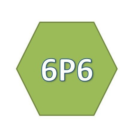 Tige 6 Pans de 6 mm-L 426 mm-D3 816E135Accessoires ZURFLUH-FELLER