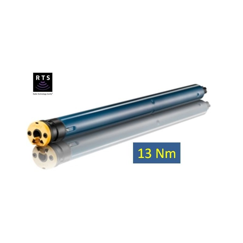 LS 40-ALTUS RTS 13/10 1024179Moteur LS 40 RTSSomfy