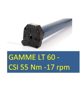 LT60 CSI 55/17-ORION 1161175Moteur CSISomfy