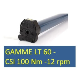 LT 60 CSI 100/12 1166145Moteur CSISomfy