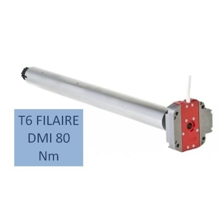 T6 FILAIRE DMI 80 Nm-12 RPM 2001007Moteur Simu DMISIMU