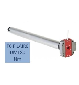 T6 FILAIRE DMI 80 Nm-12 RPM 2001007Moteur Simu DMISIMU