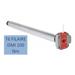 T6 FILAIRE DMI 100 Nm-12 RPM 2001010Moteur Simu DMISIMU