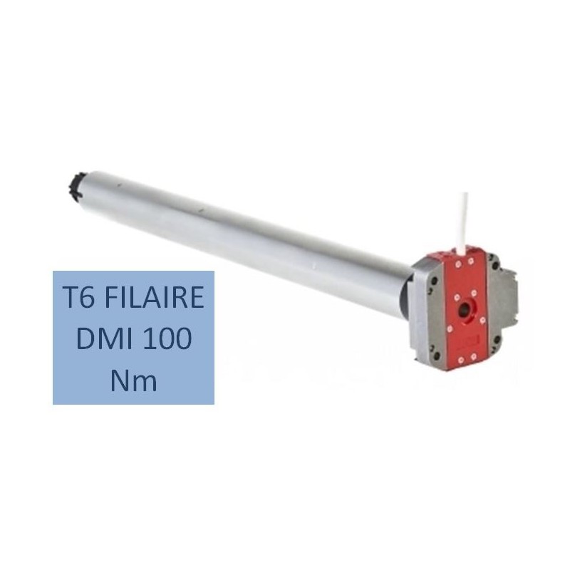 T6 FILAIRE DMI 100 Nm-12 RPM 2001010Moteur Simu DMISIMU