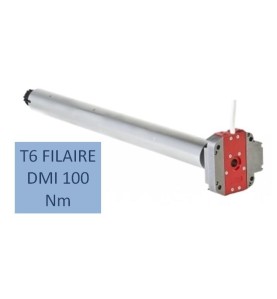 T6 FILAIRE DMI 100 Nm-12 RPM 2001010Moteur Simu DMISIMU
