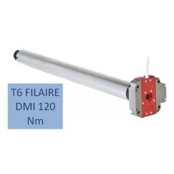 T6 FILAIRE DMI 120 Nm-12 RPM 2001013Moteur Simu DMISIMU