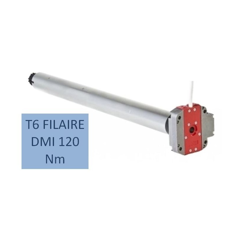 T6 FILAIRE DMI 120 Nm-12 RPM 2001013Moteur Simu DMISIMU