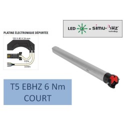T5 RADIO EBHZ 6/17 Nm-COURT-Radio bidirectionnelle 2009224Moteur Radio BHZSIMU