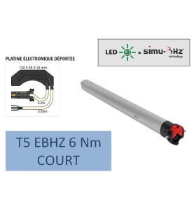 T5 RADIO EBHZ 6/17 Nm-COURT-Radio bidirectionnelle 2009224Moteur Radio BHZSIMU