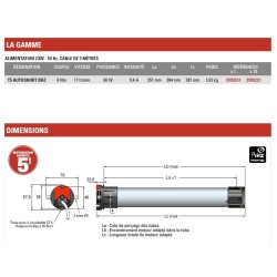 T5 RADIO  EBHZ 6/17 Nm-COURT-Radio bidirectionnelle