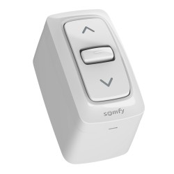 Interrupteur Stable  Somfy INIS en saillie