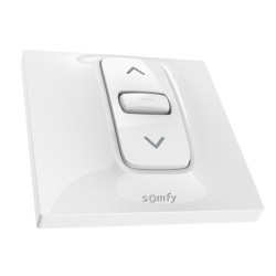 Interrupteur Stable  Somfy INIS en Applique