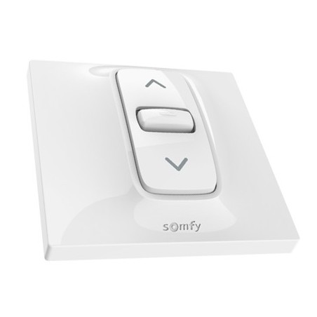 Interrupteur Stable  Somfy INIS en Applique