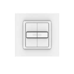 Interrupteur Stable Somfy SMOVE DUO en Applique
