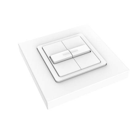 Interrupteur Stable Somfy SMOVE DUO en Applique