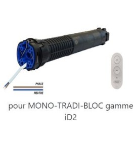 Moteur RADIO R-10 NM 221182Moteur RadioBubendorff