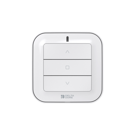 Delta Dore - Tyxia 2331 | Télécommande radio 1 voie pour volets roulants - 6351440